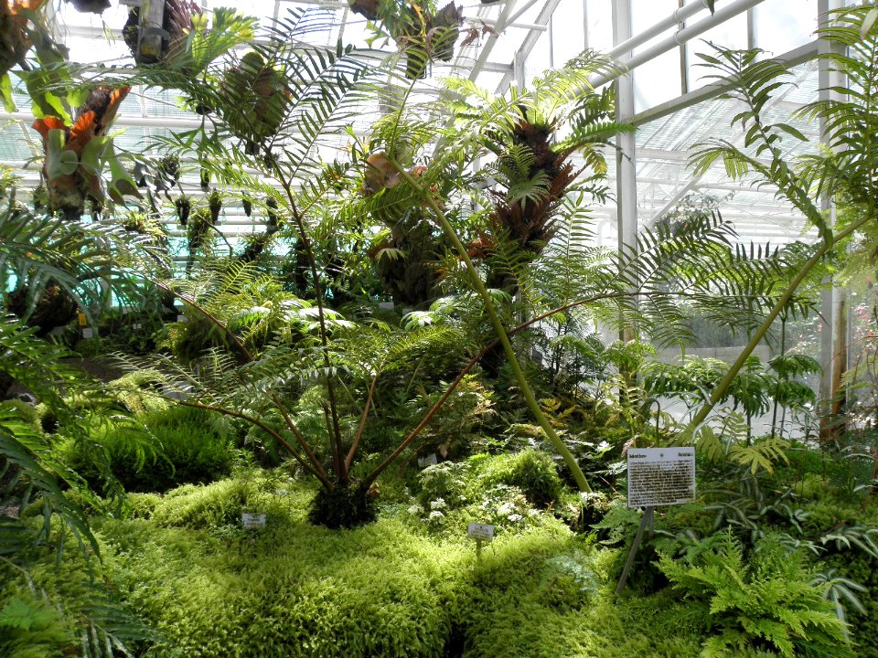 Botanischer Garten
