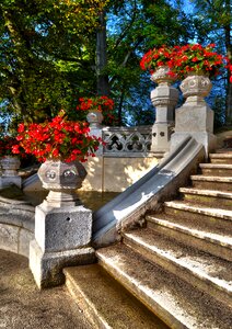 Flowers staircase nature