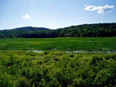 Erie National Wildlife Refuge