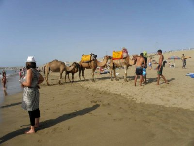 Morocco,Kenitra
