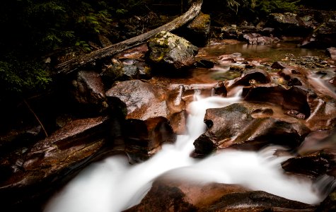 Avalanche Creek