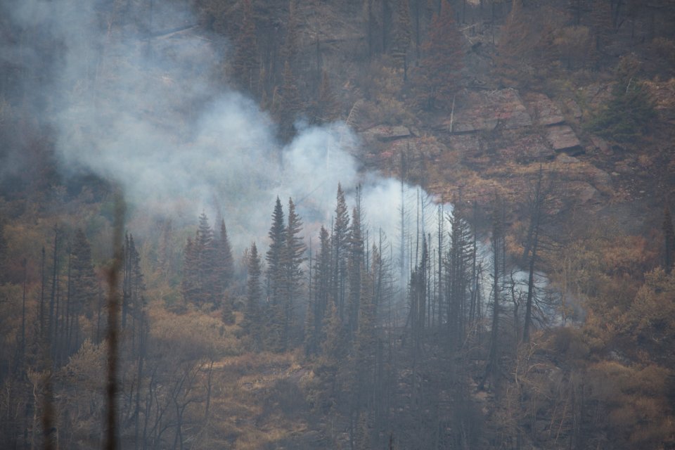 Reynolds Fire 2015