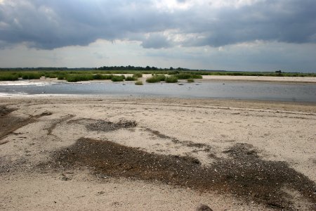 Salt Marsh at Prime Hook NWR photo