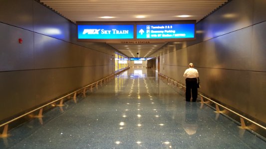 Phoenix Sky Train.  You can jump off at any terminal now.