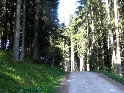 Ausflug Bad Tölz 28.05.2015