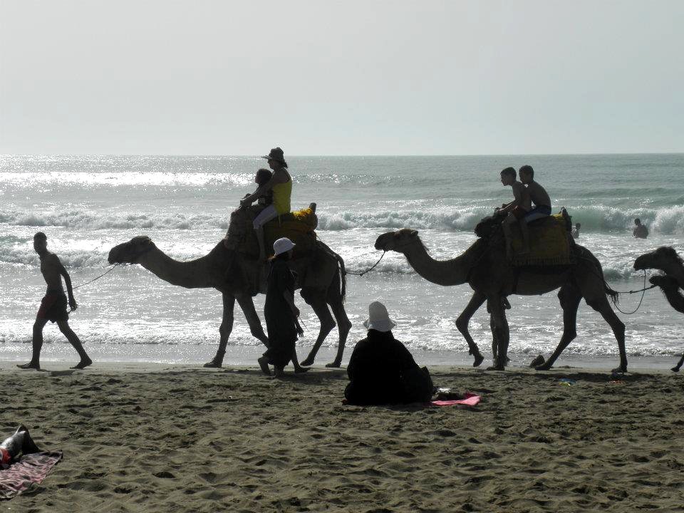 Morocco,Kenitra photo