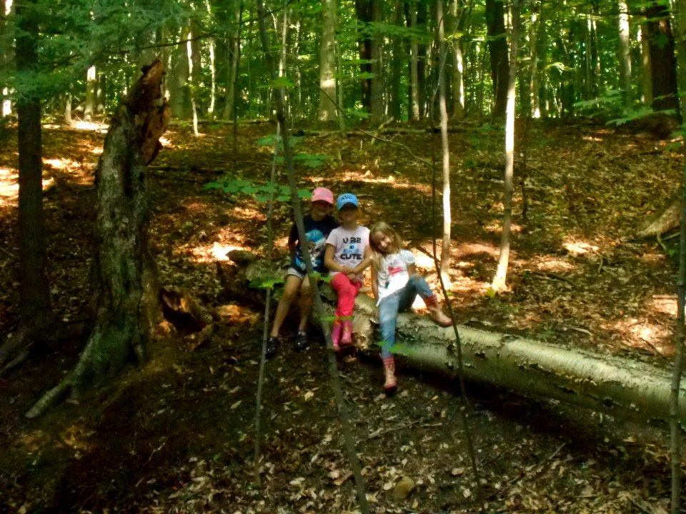 Daisy Scouts resting on log