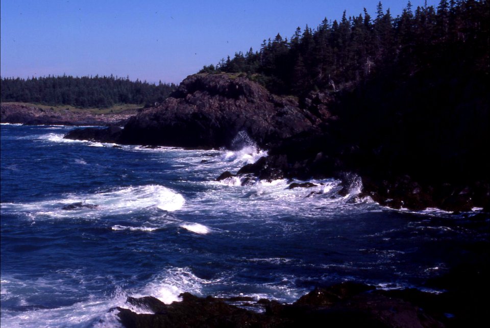 Cross Island rugged shore