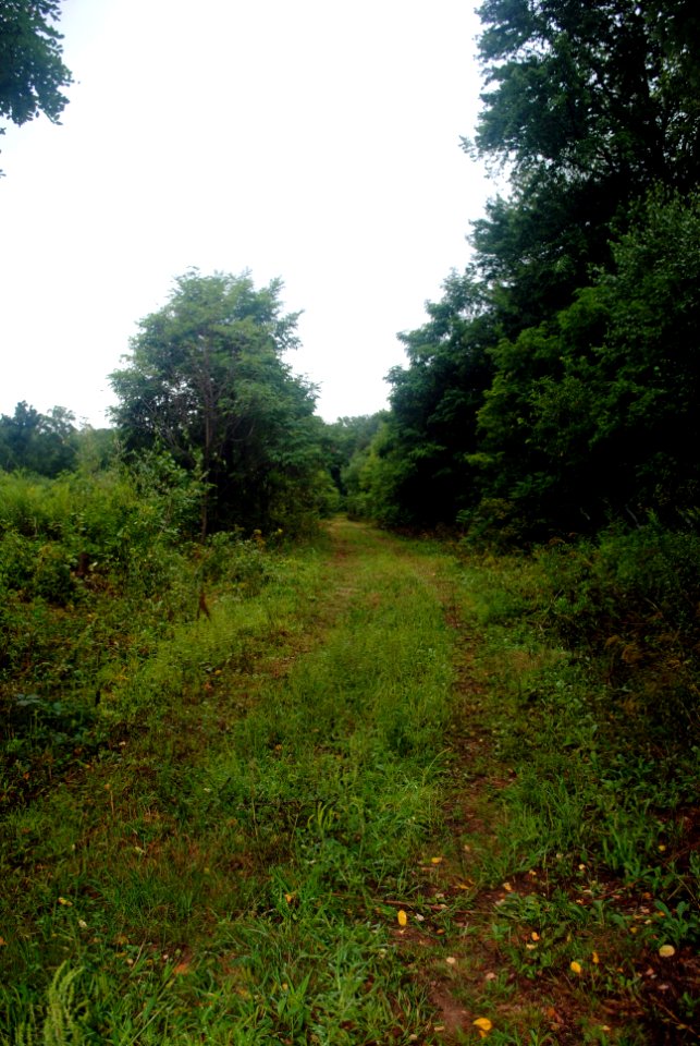 Abandoned Race Track