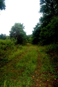 Abandoned Race Track