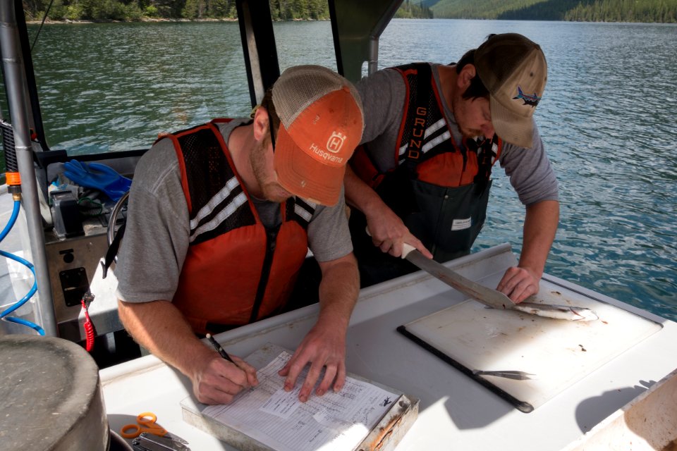Quartz Lake Fish Project 08