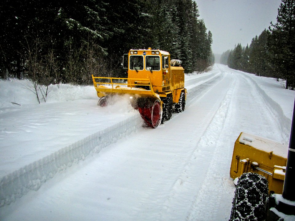 PLOWING-TWOMED-APRIL2018-0684