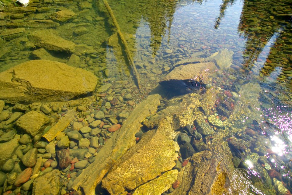 Glacier's Clear Water