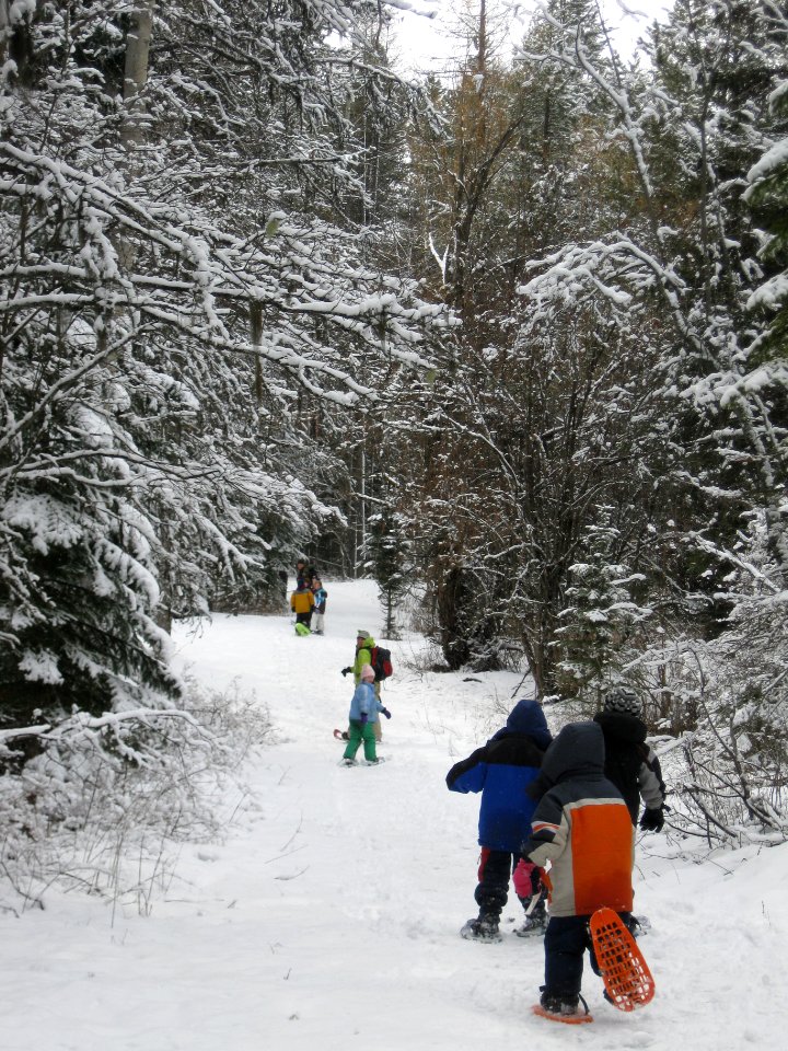 Winter Ecology Education