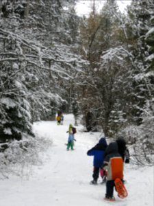Winter Ecology Education
