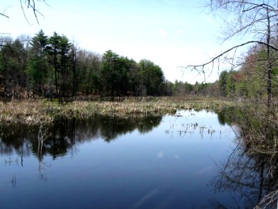 Assabet River National Wildlife Refuge