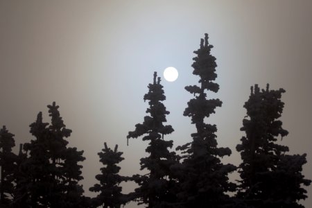 Snow on Logan Pass photo