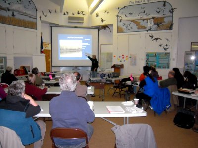 Salt Marsh workshop