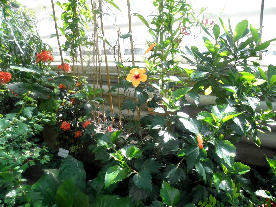 Botanischer Garten