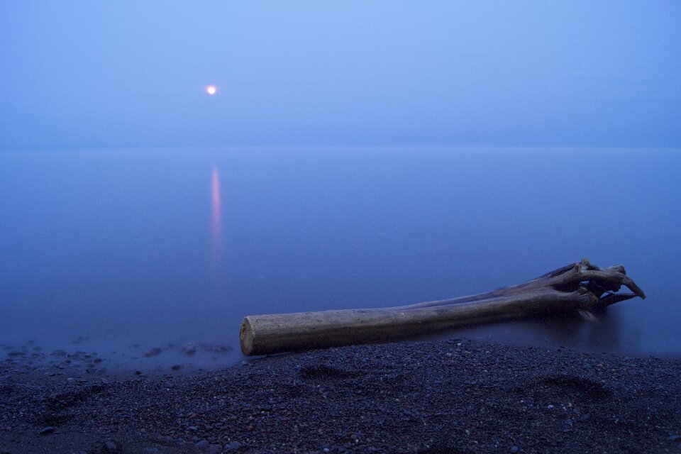 Driftwood full moon night