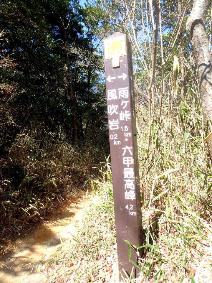P3210038