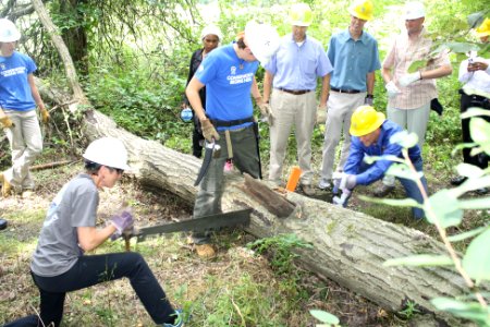 Clearing a tree in the wilderness