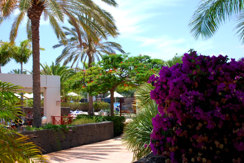 JARDÍNES/GARDEN AREA