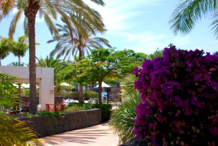JARDÍNES/GARDEN AREA