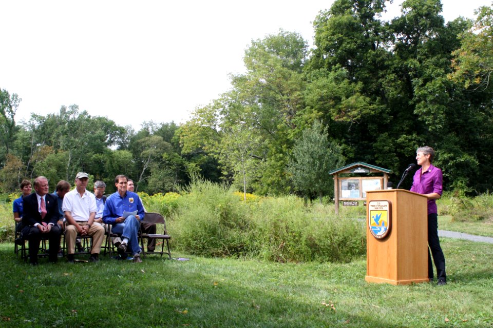 Celebrating 50 years of wilderness