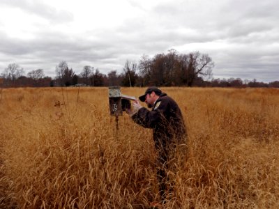 Checking bluebird boxes