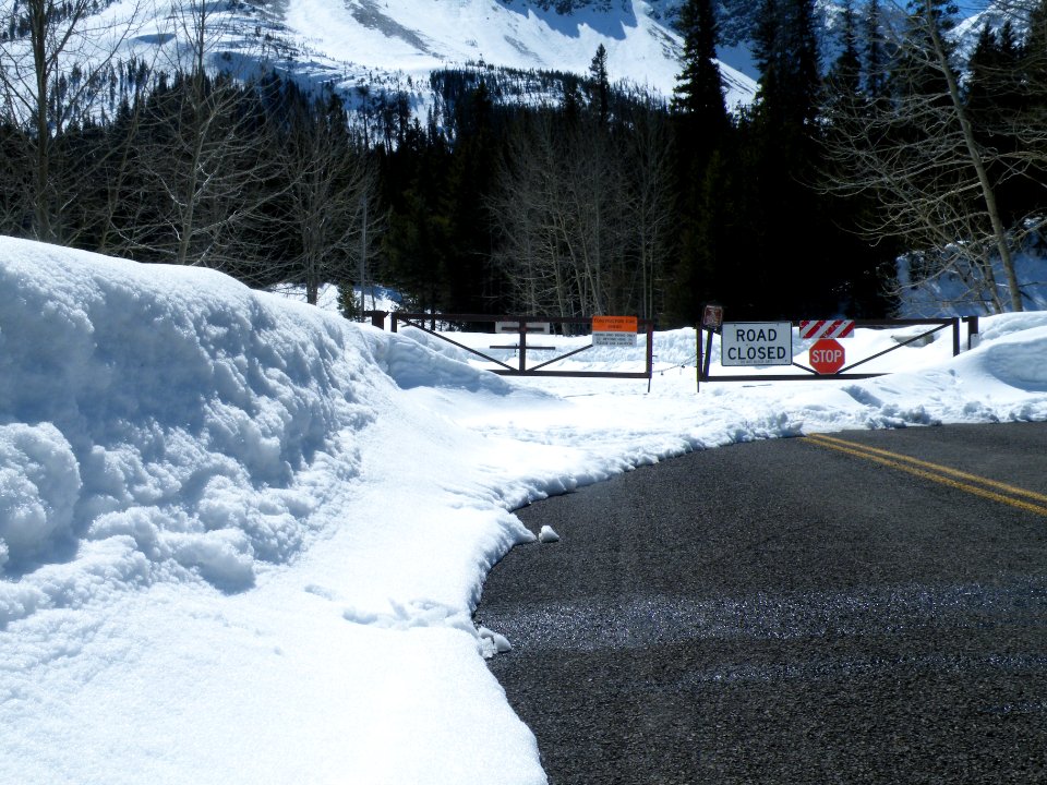 Running Eagle Falls Parking Lot