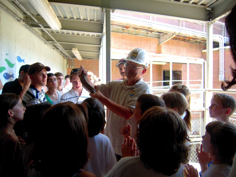 Gathered to see sea lamprey