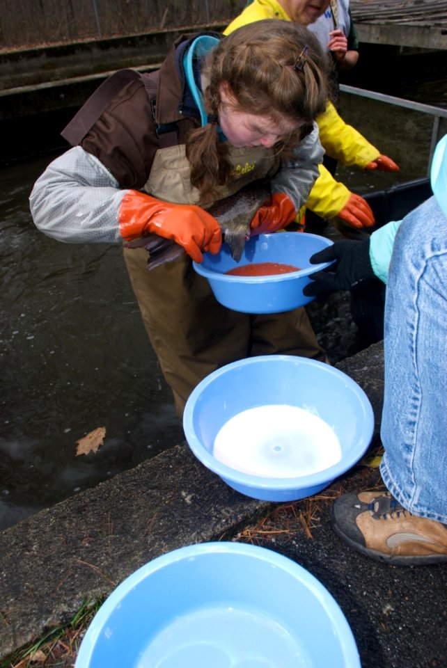 Richard Cronin National Salmon Station