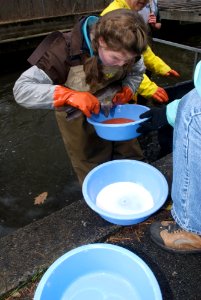 Richard Cronin National Salmon Station
