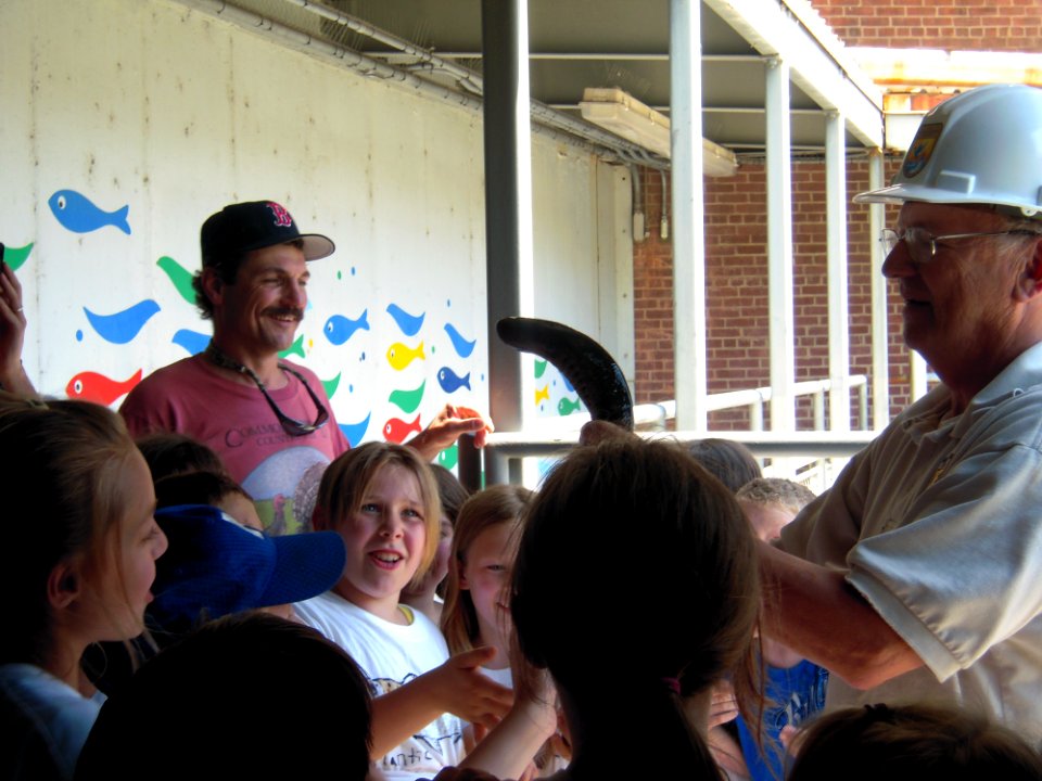 Novak shows sea lamprey