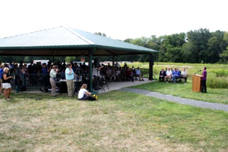 Celebrating 50 years of wilderness