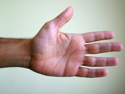 Body hand detail