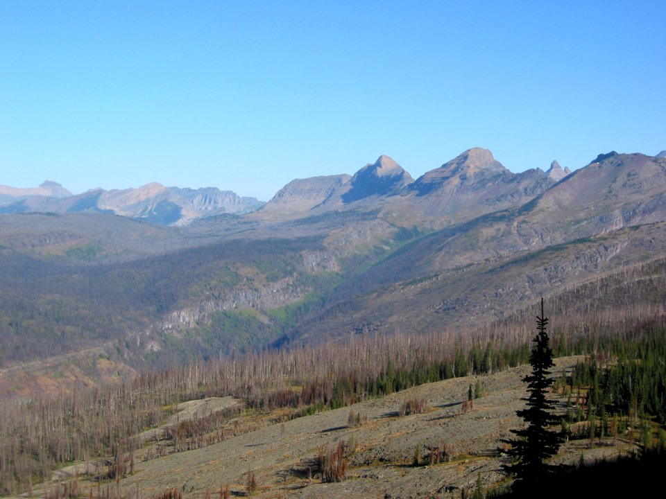 Looking north