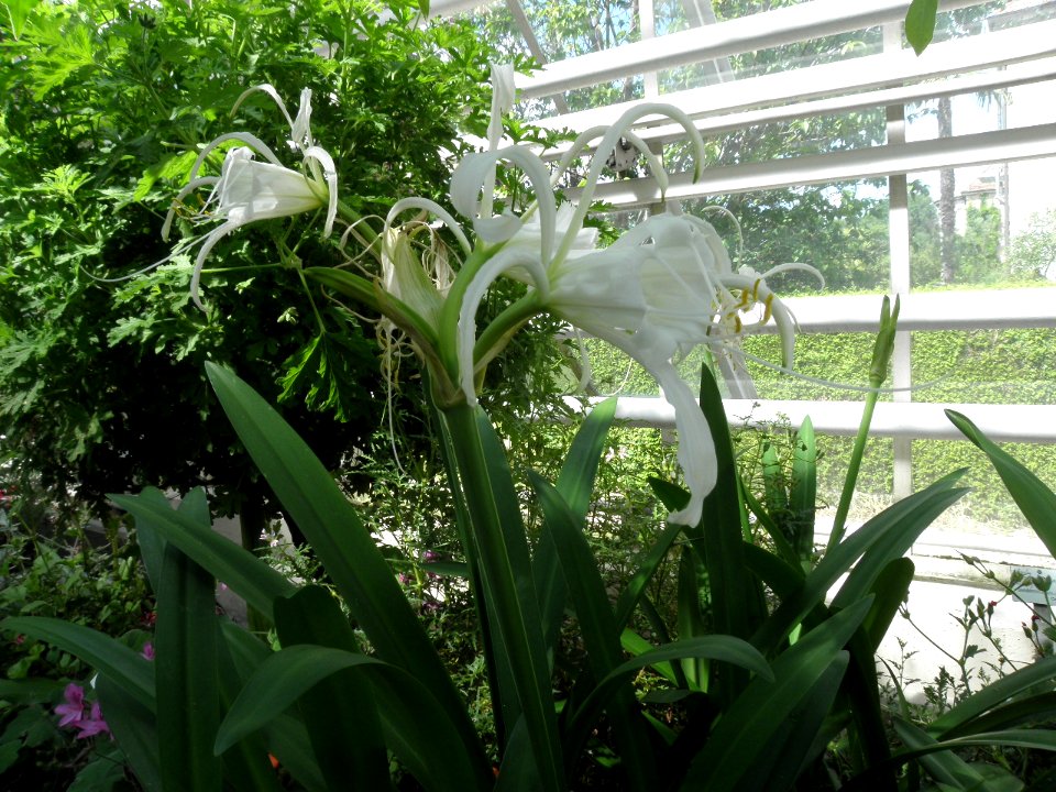 Botanischer Garten