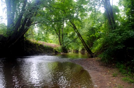 Fort River