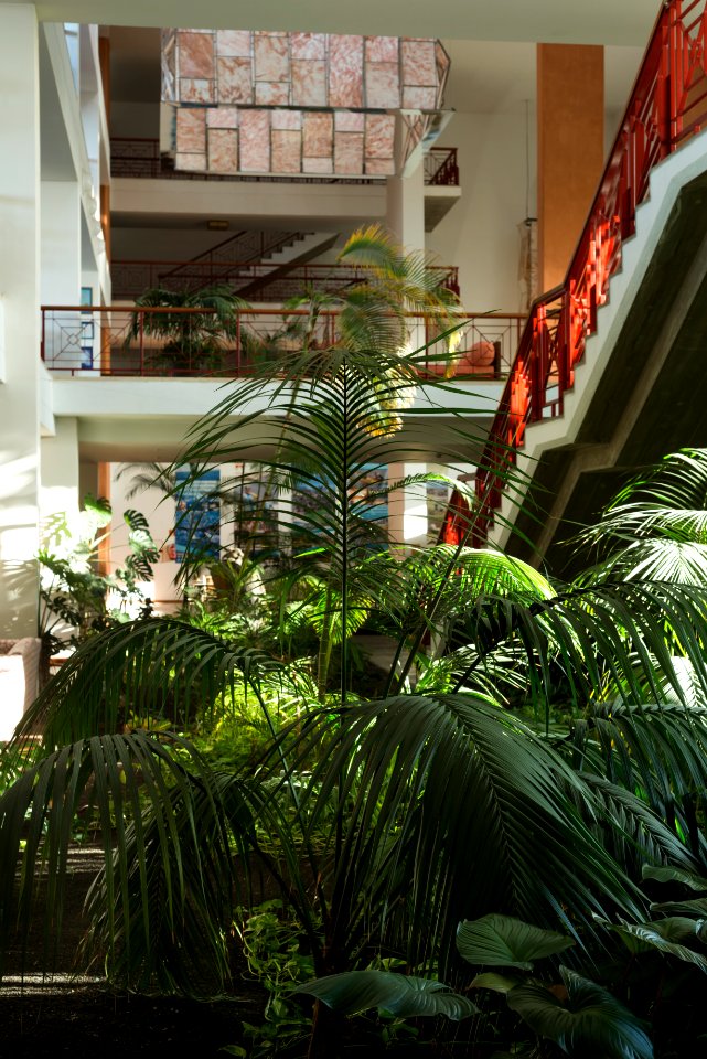 JARDÍN INTERIOR/GARDEN LOWER LOBBY
