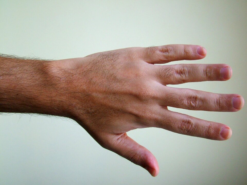 Body hand detail
