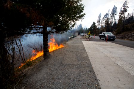 Reynolds Fire 2015