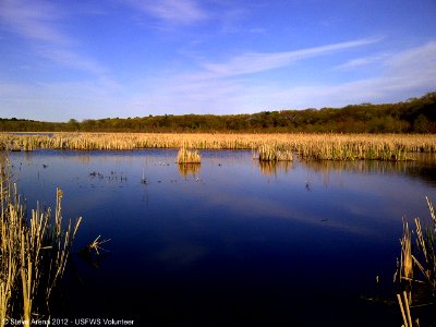 Upper Pool looking north east during Marshbird Survey Scouting 28 April 2012