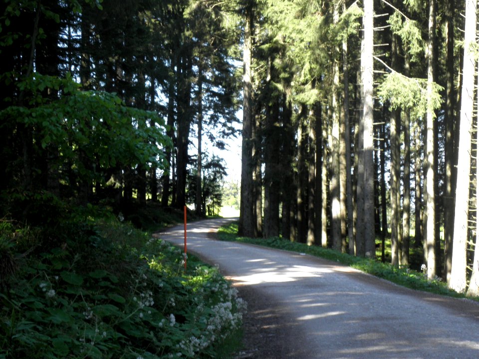 Ausflug Bad Tölz 28.05.2015