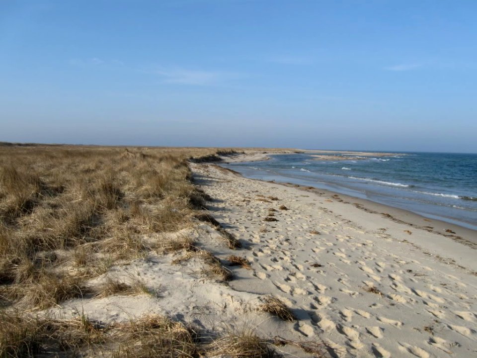 Monomoy National Wildlife Refuge shore