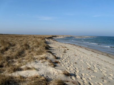 Monomoy National Wildlife Refuge shore