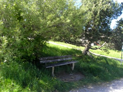 Ausflug Bad Tölz 28.05.2015