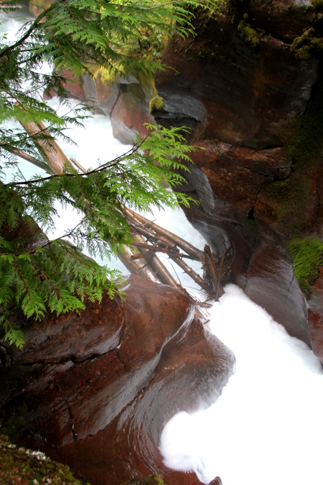 Avalanche Lake Hike