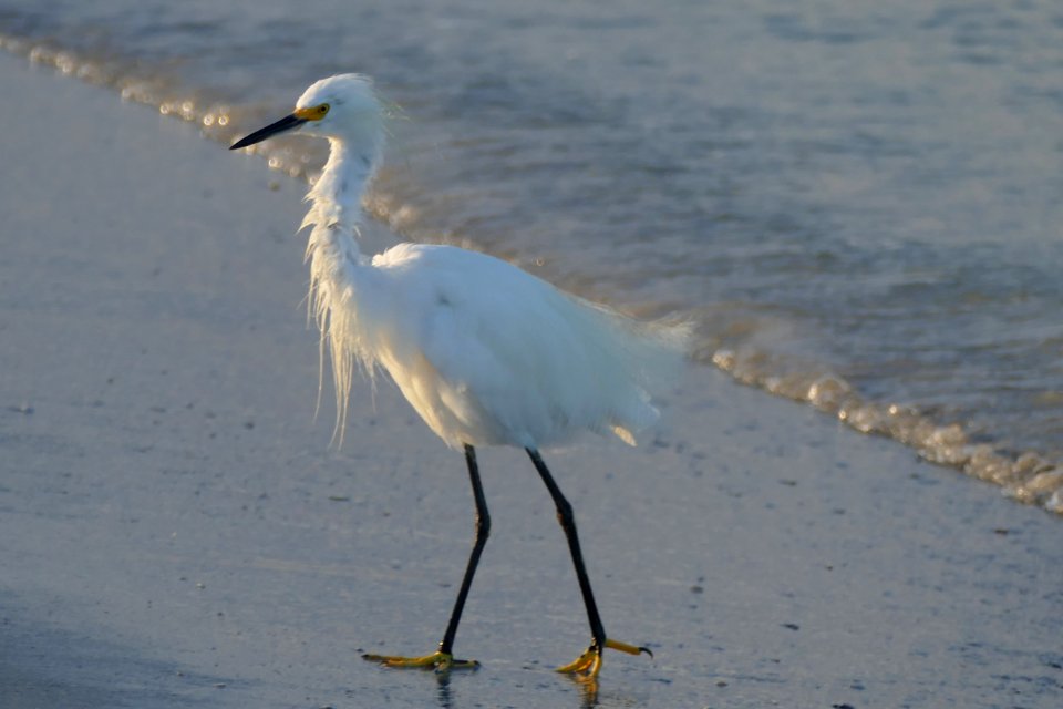 Pass-A-Grille Beach